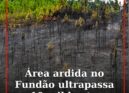 Área ardida no Fundão ultrapassa os 10 mil hectares