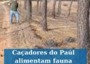 Associação de Caçadores e Pescadores do Paul ajuda fauna selvagem após incêndios