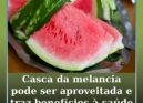 Casca da melancia pode ser aproveitada e traz benefícios à saúde
