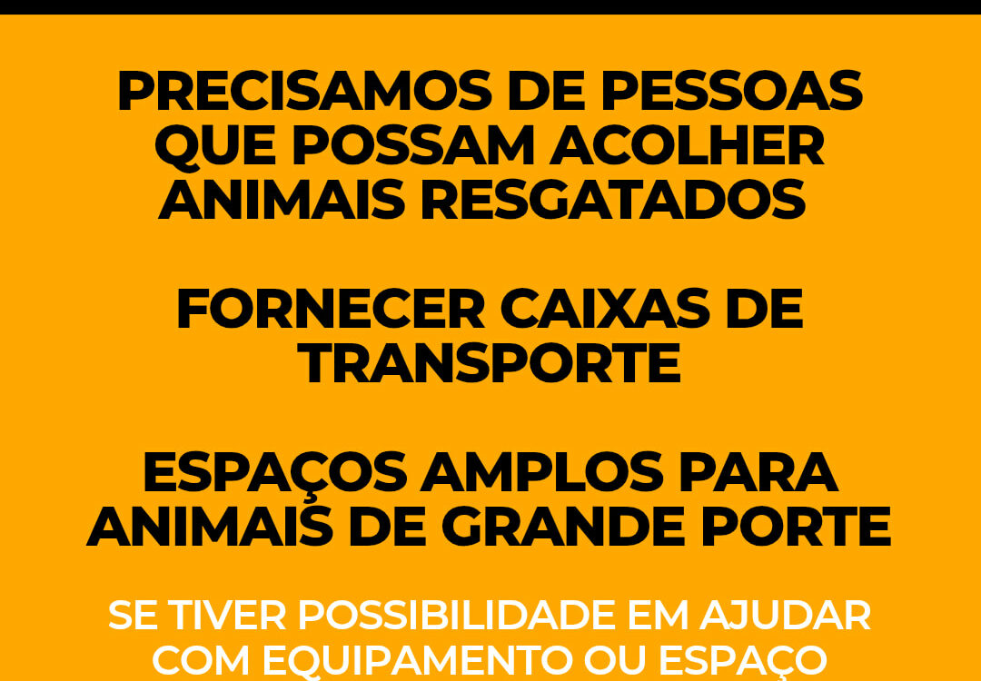 Centro de Recolha de Animais do Fundão apela a ajuda para acolher animais resgat