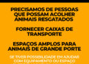 Centro de Recolha de Animais do Fundão apela a ajuda para acolher animais resgat