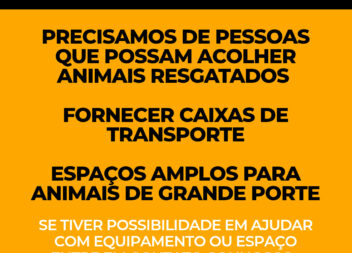 Centro de Recolha de Animais do Fundão apela a ajuda para acolher animais resgat