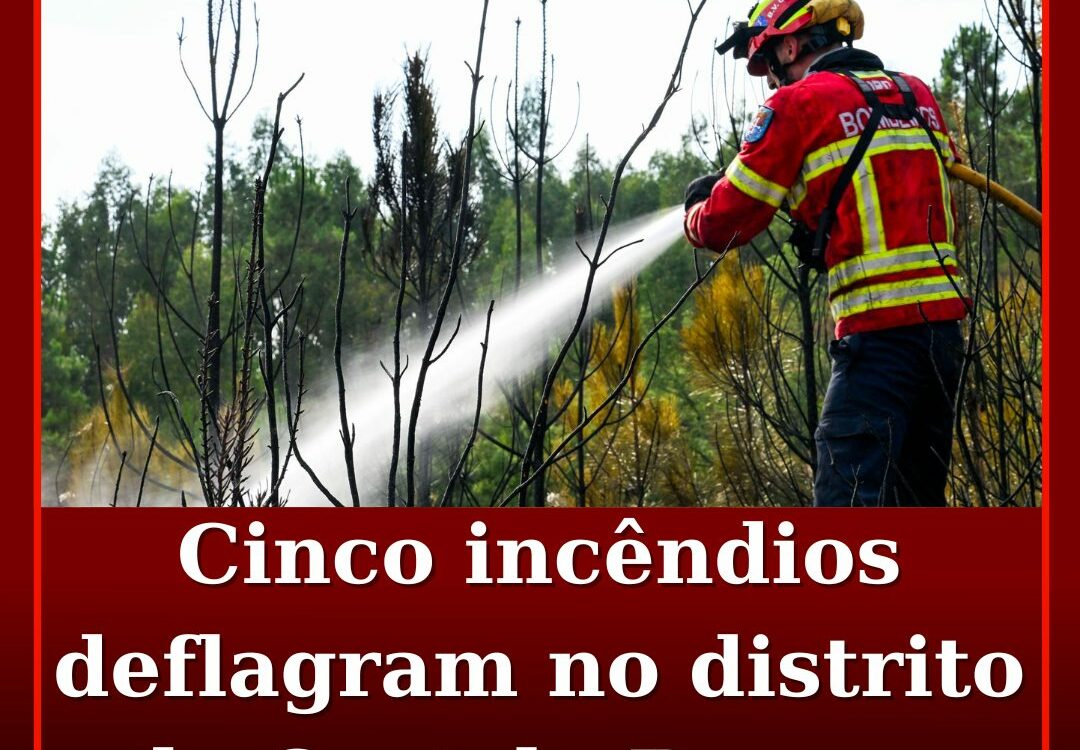 Cinco incêndios deflagram no distrito de Castelo Branco