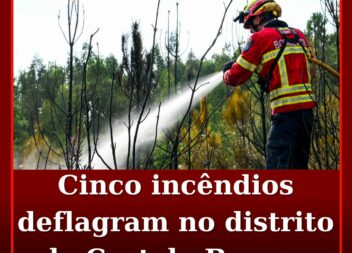 Cinco incêndios deflagram no distrito de Castelo Branco