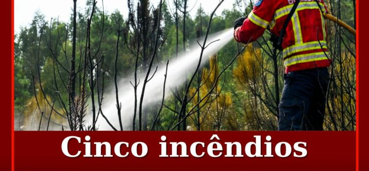 Cinco incêndios deflagram no distrito de Castelo Branco