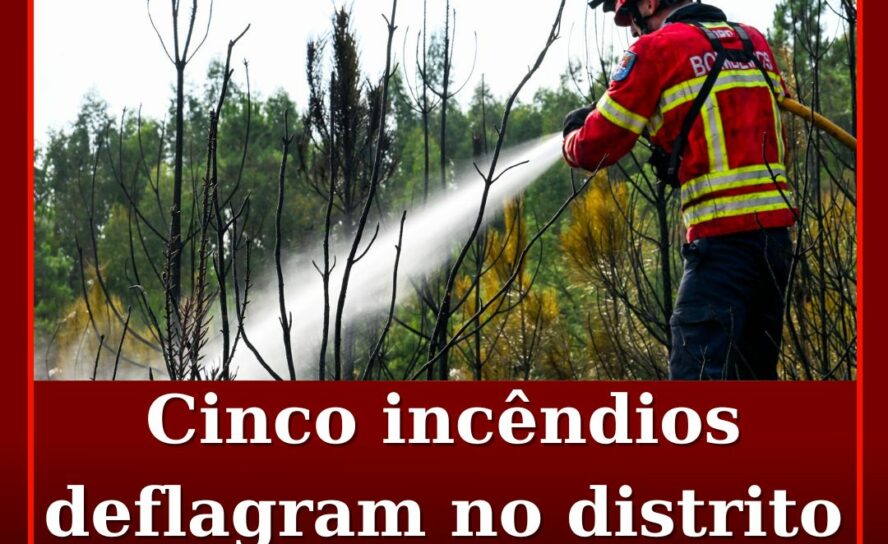 Cinco incêndios deflagram no distrito de Castelo Branco