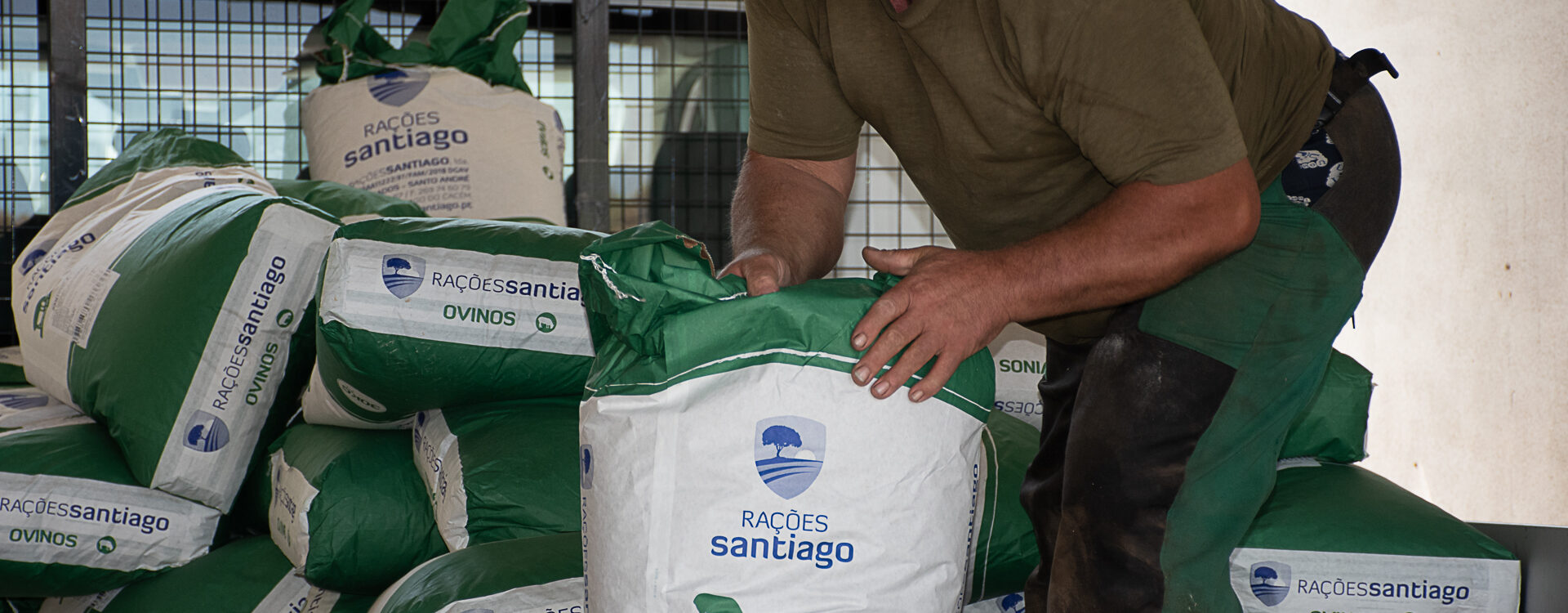Covilhã distribui alimentação animal a produtores afetados pelos incêndios
