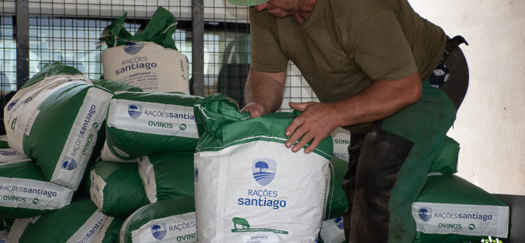 Covilhã distribui alimentação animal a produtores afetados pelos incêndios