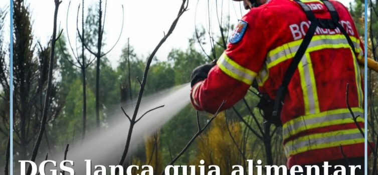 DGS lança guia alimentar para bombeiros em combate a incêndios