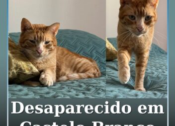 Desaparecido em Castelo Branco