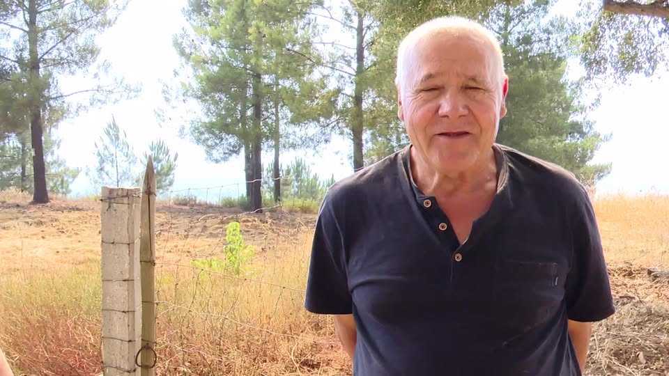 EM DIRETO: INCÊNDIO EM CASTELO BRANCO / SOBRAL DO CAMPO