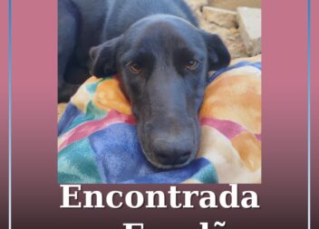 Encontrada no Fundão