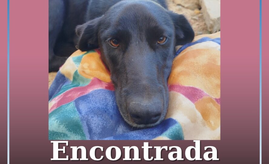 Encontrada no Fundão