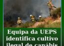 Equipa da UEPS identifica cultivo ilegal durante missão em Pedrógão Grande