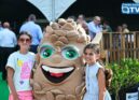 Feira do Pinhal em Oleiros
