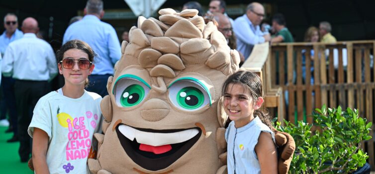 Feira do Pinhal em Oleiros