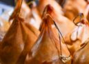 Festival do Plangaio e do Maranho já tem inscrições abertas para produtores e as