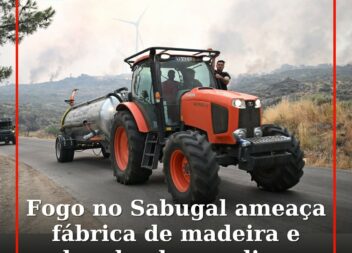 Fogo no Sabugal ameaça fábrica de madeira e bomba de gasolina