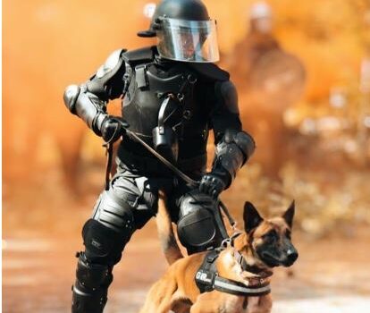 GNR assinala o Dia Mundial do Cão