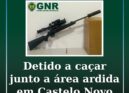 Homem detido a caçar junto a área ardida em Castelo Novo