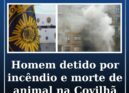 Homem detido por incêndio e morte de animal após ataque por vingança