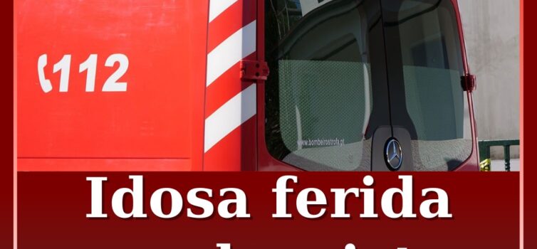 Idosa ferida em despiste no Ladoeiro