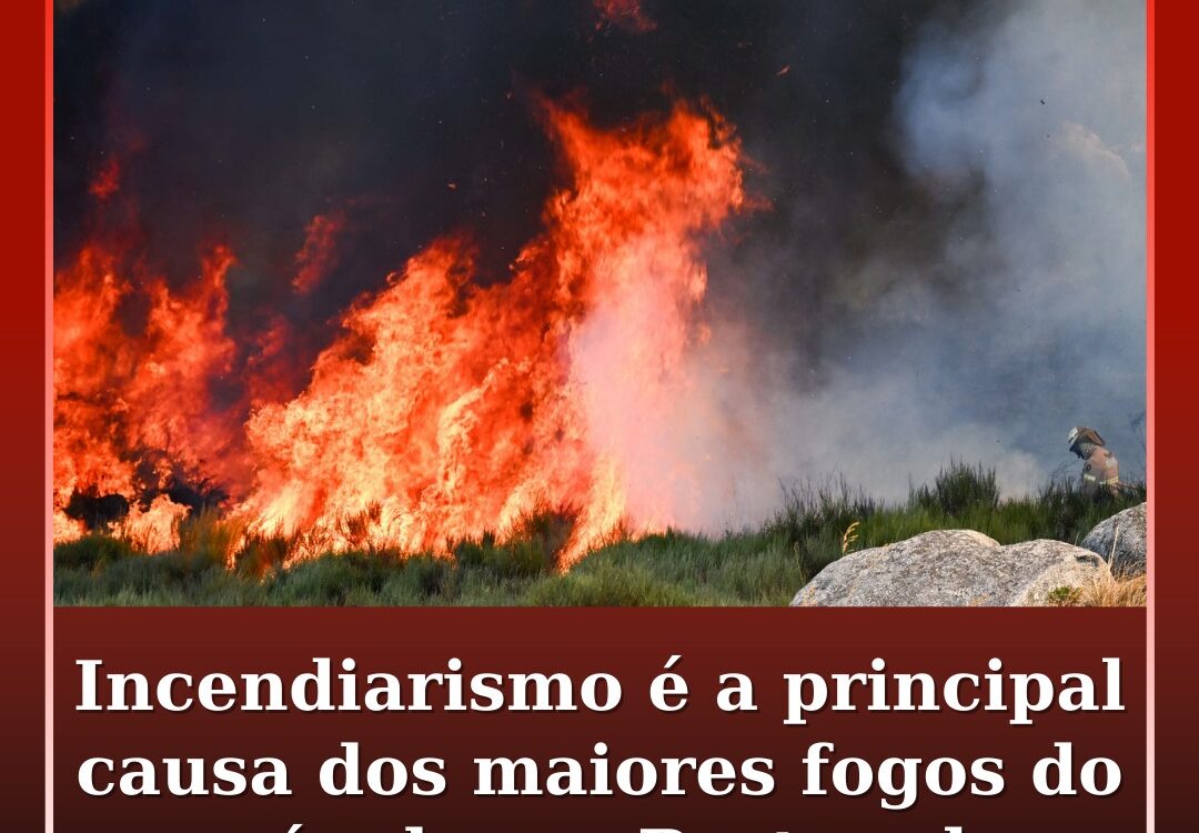 Incendiarismo é a principal causa dos maiores fogos do século em Portugal