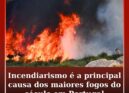 Incendiarismo é a principal causa dos maiores fogos do século em Portugal