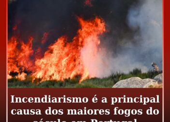 Incendiarismo é a principal causa dos maiores fogos do século em Portugal