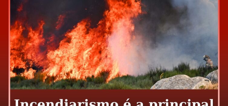 Incendiarismo é a principal causa dos maiores fogos do século em Portugal