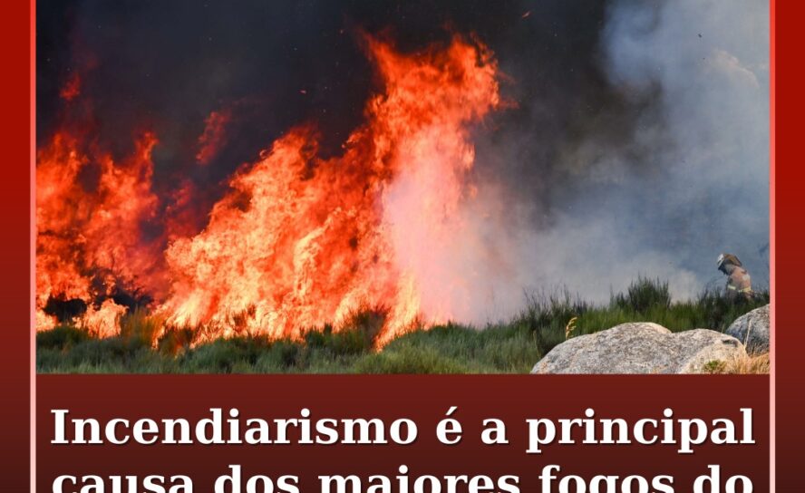 Incendiarismo é a principal causa dos maiores fogos do século em Portugal