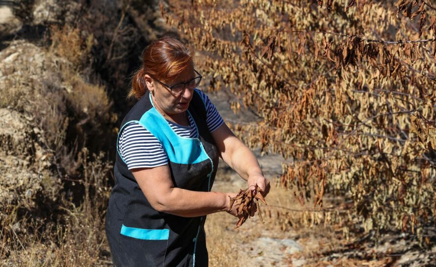 Incêndio ameaça futuro da Enxabarda