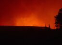Incêndio da Covilhã: direto da Barroca Grande