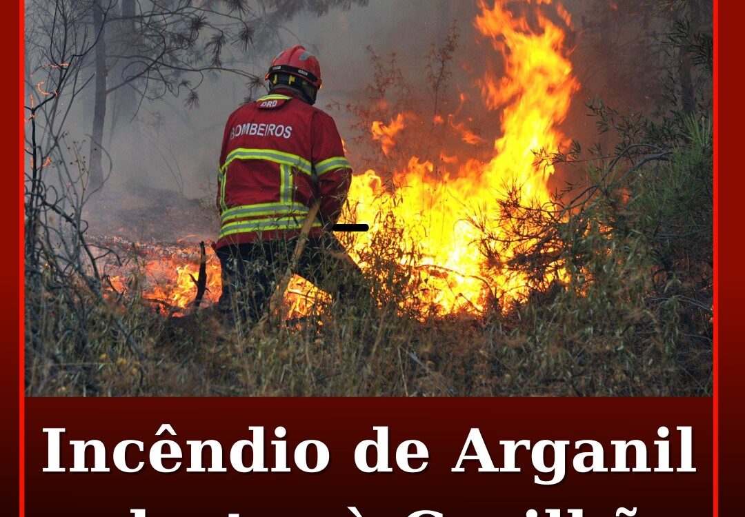 Incêndio de Arganil alastra à Covilhã e atinge zona do Sobral de São Miguel