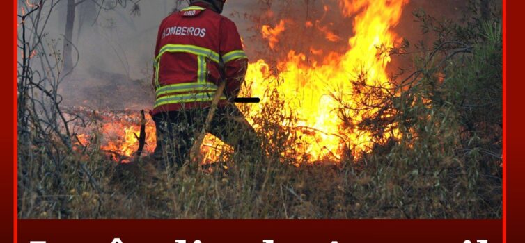 Incêndio de Arganil alastra à Covilhã e atinge zona do Sobral de São Miguel