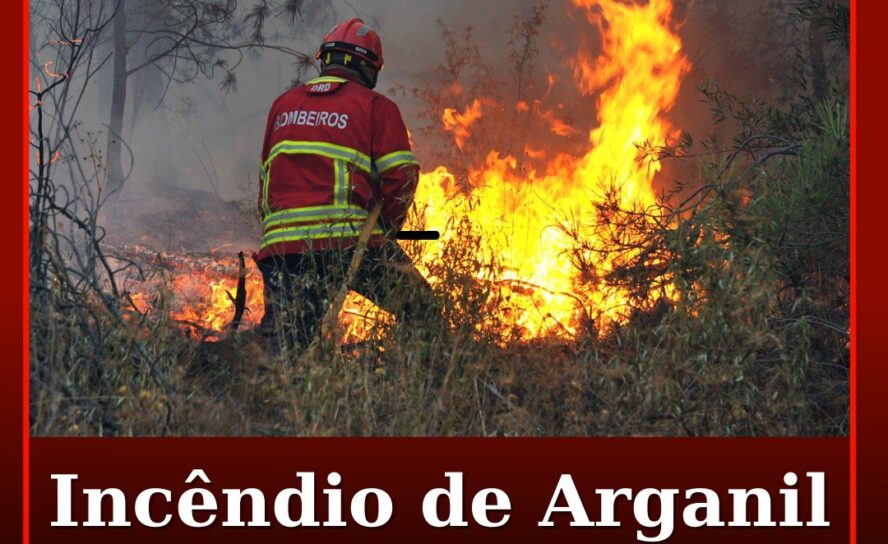 Incêndio de Arganil alastra à Covilhã e atinge zona do Sobral de São Miguel
