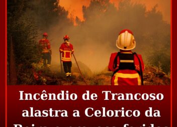 Incêndio de Trancoso alastra a Celorico da Beira e provoca feridos