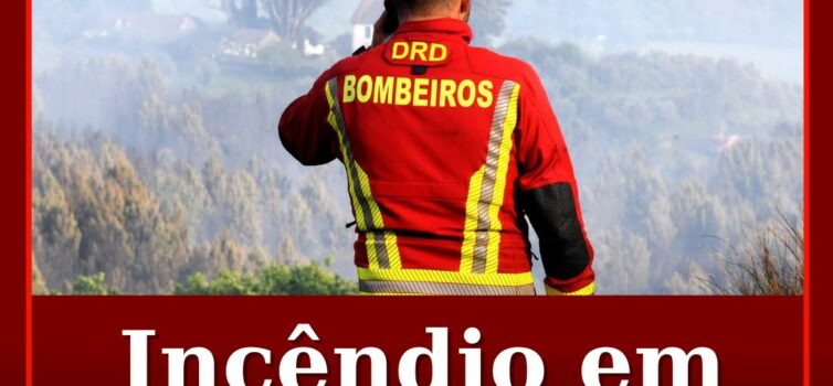 Incêndio em Castelo Branco