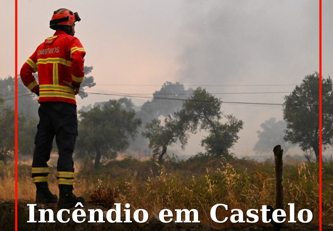 Incêndio em Castelo Branco mais calmo, mas com focos de preocupação no Violeiro