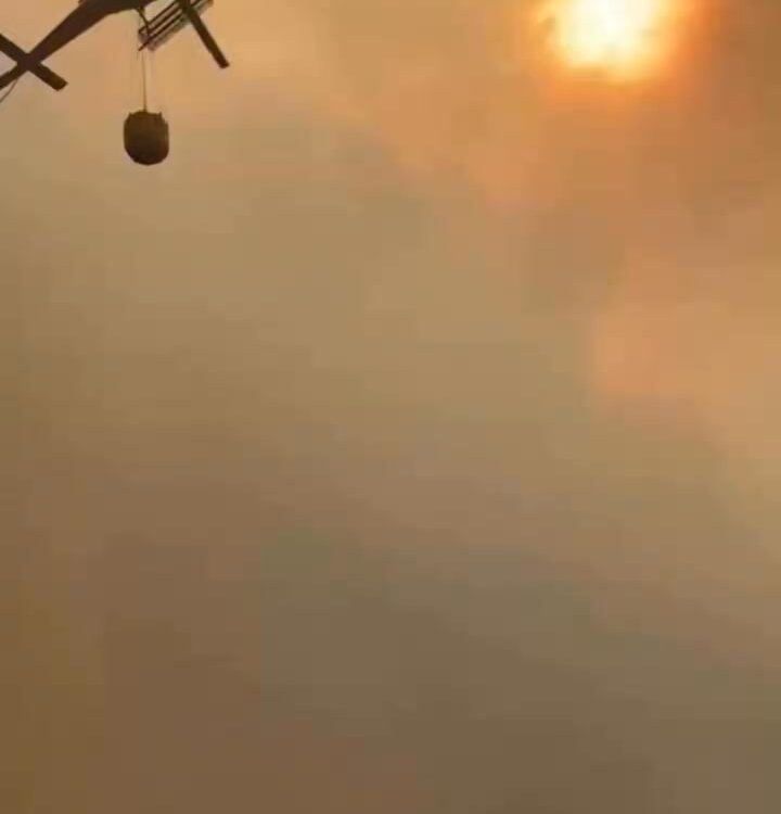 Incêndio em Lavacolhos obriga à evacuação urgente de animais