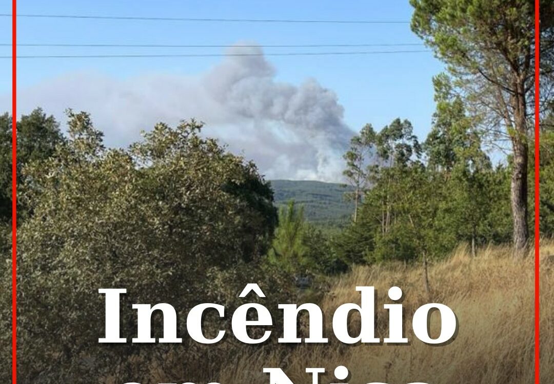 Incêndio em Nisa