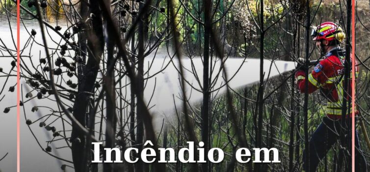 Incêndio em Pedrógão Grande em fase de resolução