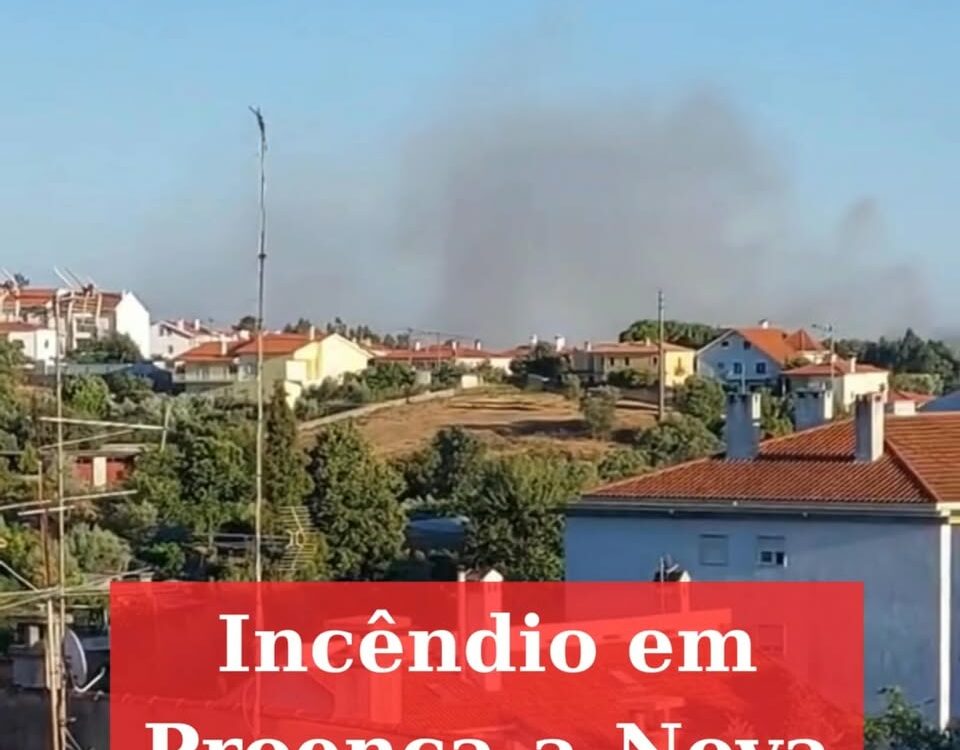 Incêndio em Proença-a-Nova