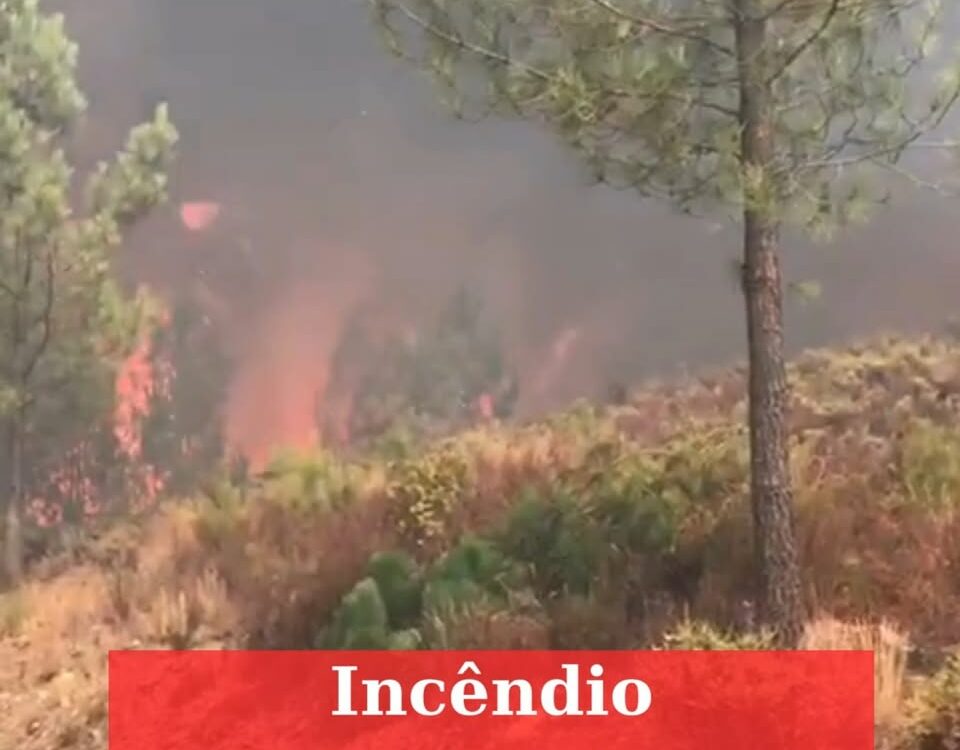 Incêndio no Fundão ameaça aldeias de Açor e Boxinos