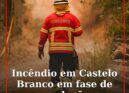 Incêndio no concelho de Castelo Branco em fase de resolução