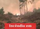 Incêndios motivam pedidos de ajuda nas redes sociais