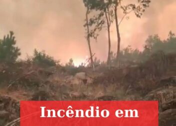 Incêndios motivam pedidos de ajuda nas redes sociais