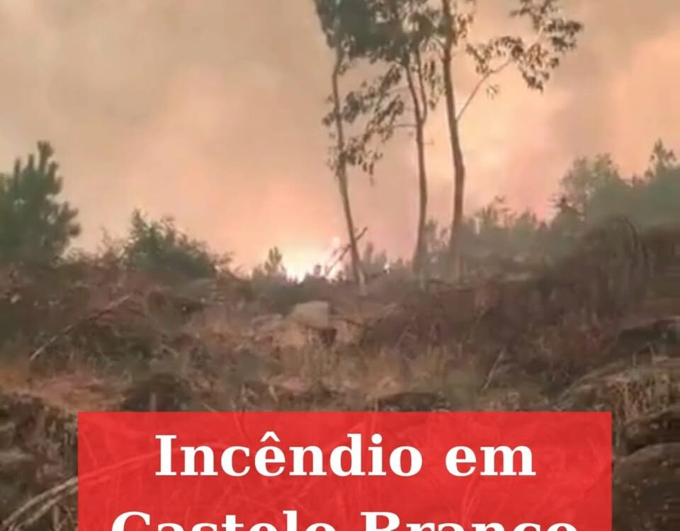 Incêndios motivam pedidos de ajuda nas redes sociais