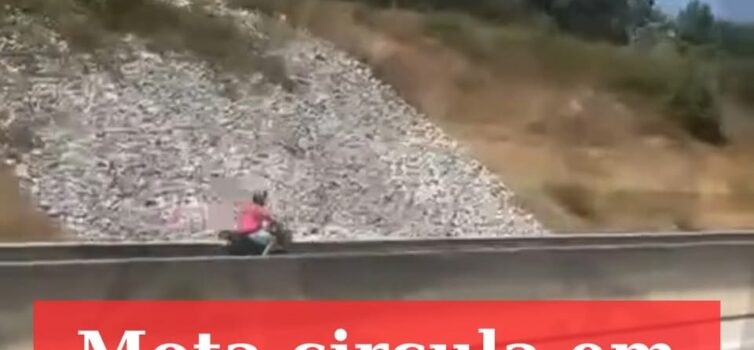 Mota circula em contramão no IP2 em direção a Trancoso