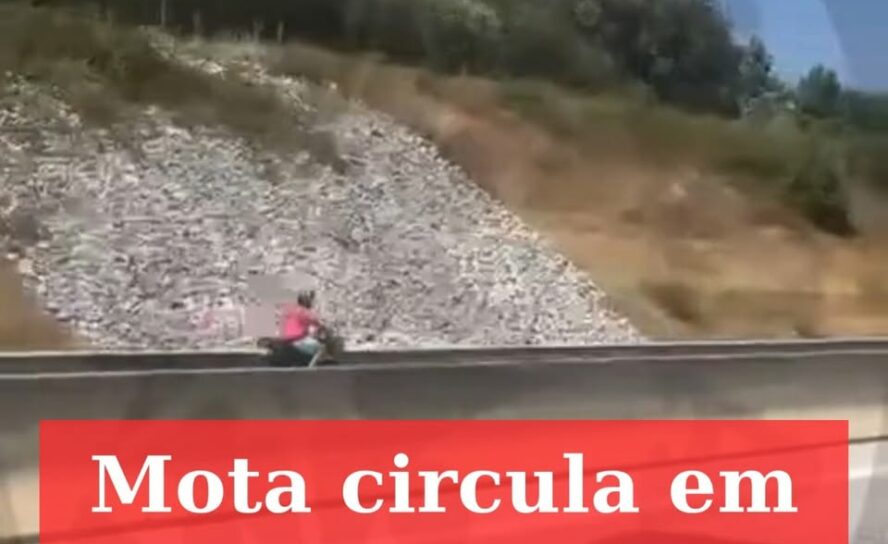 Mota circula em contramão no IP2 em direção a Trancoso